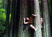 Frame from Embracing Earth - Dances with Nature